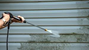 Is Power Washing Bad for Plants, Animals and the Environment?